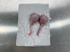 -拜鲁耶动物诊疗中心·宠家动物医院