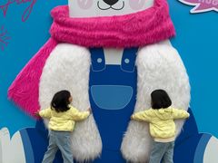 -海合安成都极地海洋公园