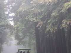 -山王坪喀斯特国家生态公园