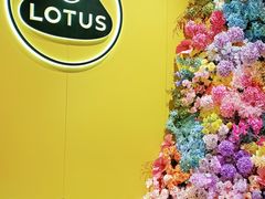 -莲花跑车(国贸商城店)