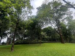 -云溪植物园