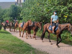 -太阳岛度假酒店