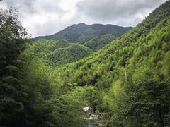 -安吉龙王山风景区