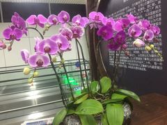 -福州长乐国际机场