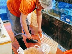 -滋粥楼·顺德菜海鲜茶点(方舟店)