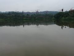 -枫香湖儿童公园