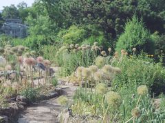 -国家植物园南园