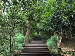 -潜山国家森林公园