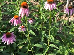 -昆山城市生态森林公园