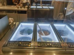 -野人先生Gelato(上海长宁龙之梦店)