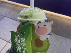 -一只酸奶牛(八一路店)