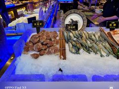 -九月海·海鲜自助(世纪东方店)