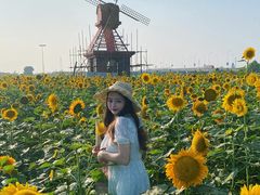 -杭州湾海上花田景区