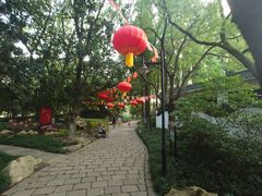 -瀛洲公园