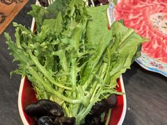 -南门四季铜锅涮肉(左家庄店)