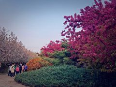 -元大都城垣遗址公园