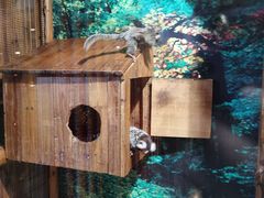 -上海大自然野生昆虫馆(东方明珠·爬宠昆虫探索中心)