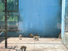 -秦皇岛野生动物园