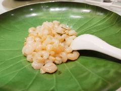 龙井虾仁（清炒）-张生记(丁香国际店)
