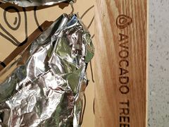-油梨树AVOCADO TREE(嘉里中心店)
