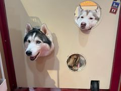 -和它·交个朋友·狗咖猫咖(爱琴海店)