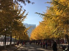 -辽宁大学(崇山校区)