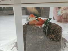 -幸福里DIY蛋糕烘焙·团建·拼豆豆(普陀店)