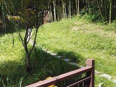 -黄海国家森林公园