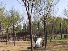 -东郊湿地公园