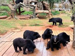 -海南热带野生动植物园