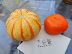 -三忘湖 SWANSEEN(柳荫公园店)