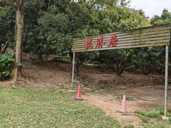 -东莞植物园