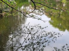 -上海植物园-4号门售票处