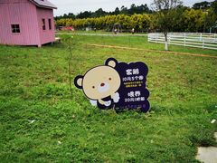 -紫颐香薰山谷景区