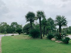 -上海怡沁园度假酒店