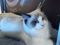 -零纪元VR体验馆·桌游(黄浦店)