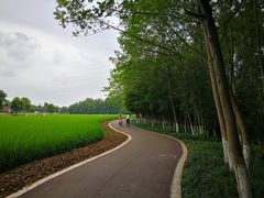 -桤木河湿地公园