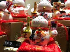 -猫咪博物馆(顶澳仔猫街店)