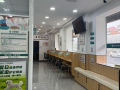 -瑞派长江宠物医院·猫科·外科·24小时夜护(谊城公寓分院)