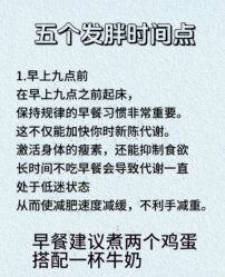 -Fundi张玉珊修身堂·indiba·BTL科技瘦身