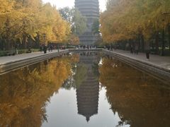-玲珑塔公园