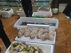 -胶东海鲜大排档(北太平庄店)
