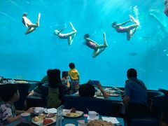 -瑞德姆美人鱼海底演艺主题餐厅(亚龙湾店)