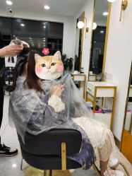 -柯琳造型直营店