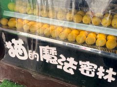 -猫的魔法密林(衣裳街店)