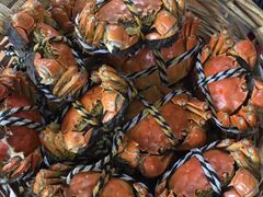 -乡乐园蟹庄·阳澄湖农家乐