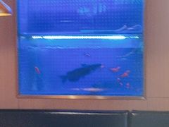 -蜀香三绝·牛蛙·烤鱼·天府炒鸡(安丘泰华店)