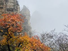 -狼牙山风景区