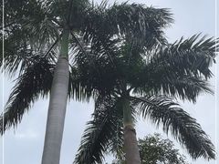 -广州市白云山风景名胜区