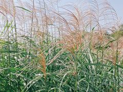 -千龙湖生态旅游度假区